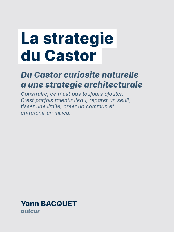 Couverture — La stratégie du Castor (AD4-016)