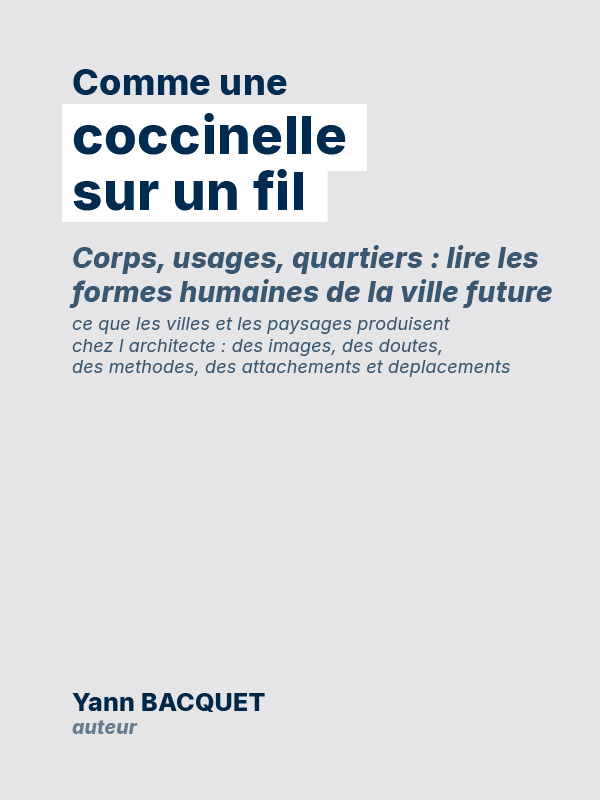 Couverture — Comme une coccinelle sur un fil (AD4-024)