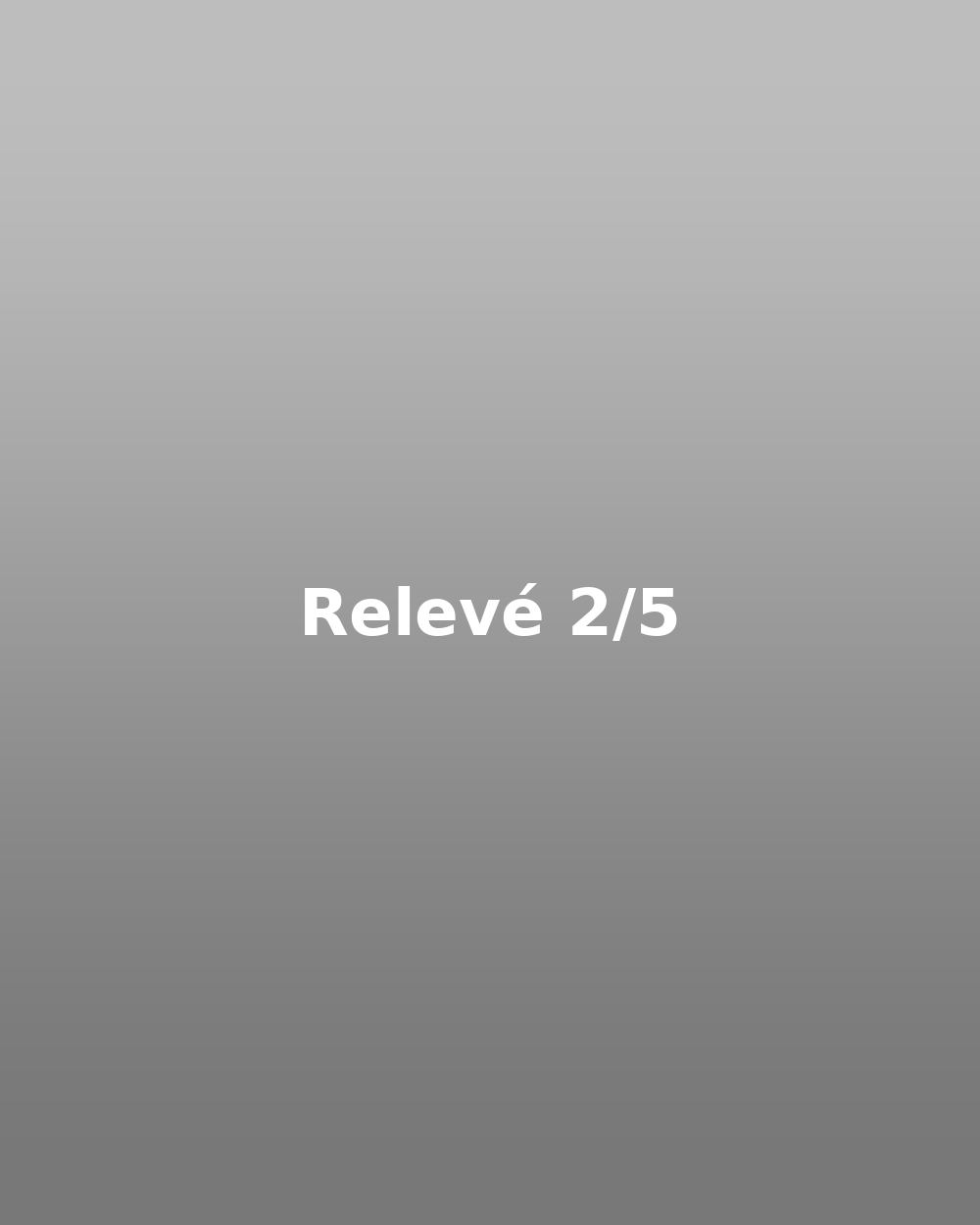 Relevé 02